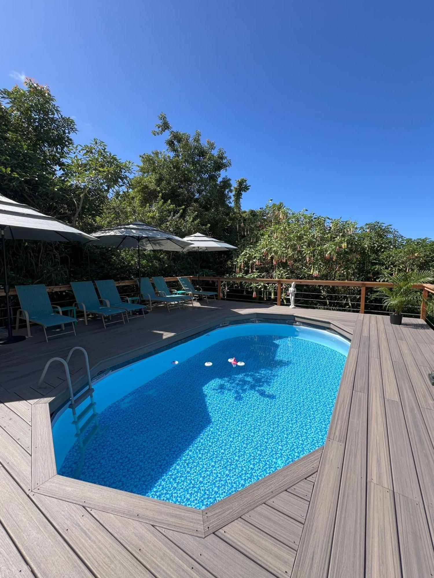 Cozy Jungle Boat Hideaway With Stunning Ocean View Villa Kealakekua Bagian luar foto